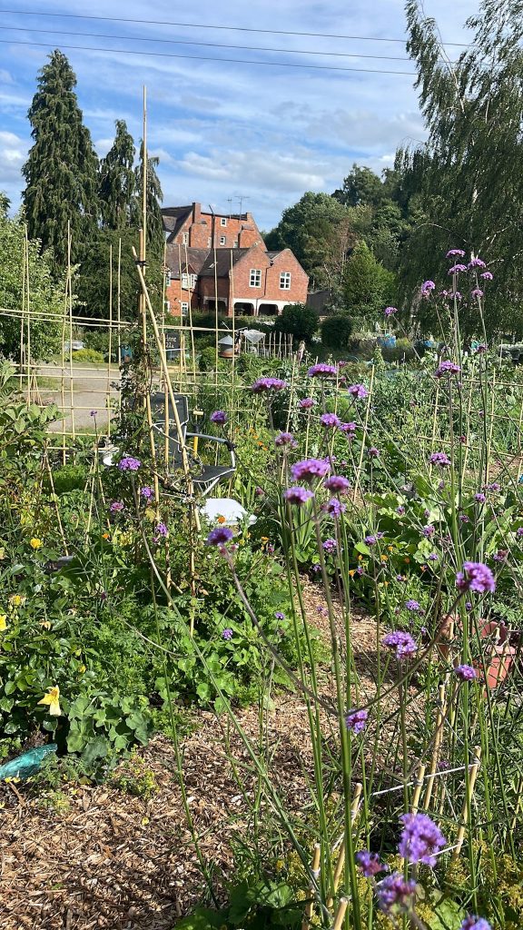 The Soup Kitchen Ludlow, Ludlow good food movement, raw food, organic food Ludlow, Ludlow food, food medicine, conscious food