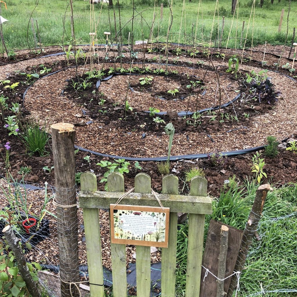 The Soup Kitchen Ludlow, Ludlow good food movement, raw food, organic food Ludlow, Ludlow food, food medicine, conscious food